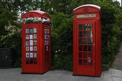 DSC_5960 (Large).JPG